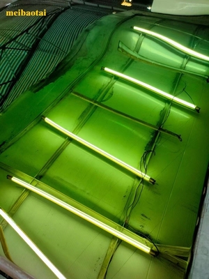 Légende de couleur de miroir vert Pvd revêtement décoration Plaque en acier inoxydable
